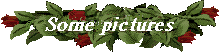 somepics.gif (5318 bytes)
